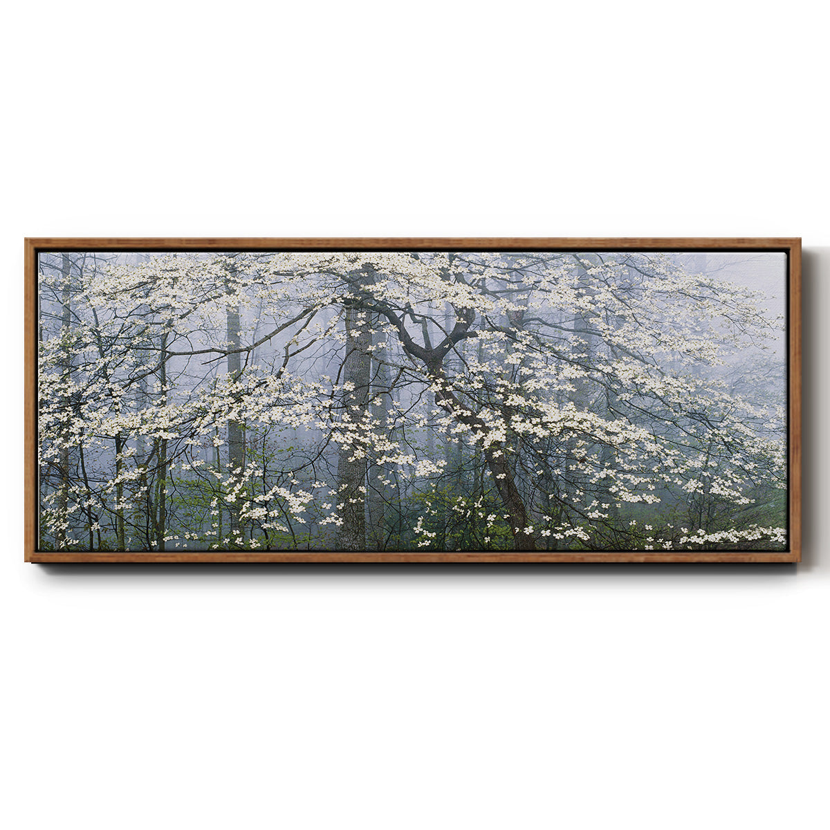 Dogwood Canopy - Floater Framed Canvas Print