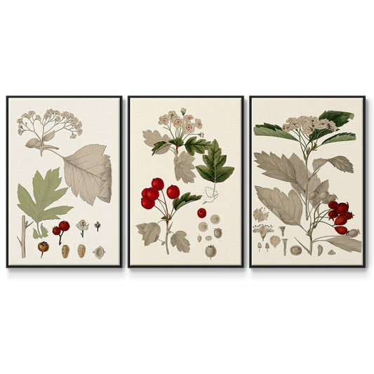 Leaves & Berries I - Floater Framed Canvas Set