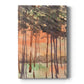 Between the Trees I Premium Gallery Wrapped Canvas - Ready to Hang