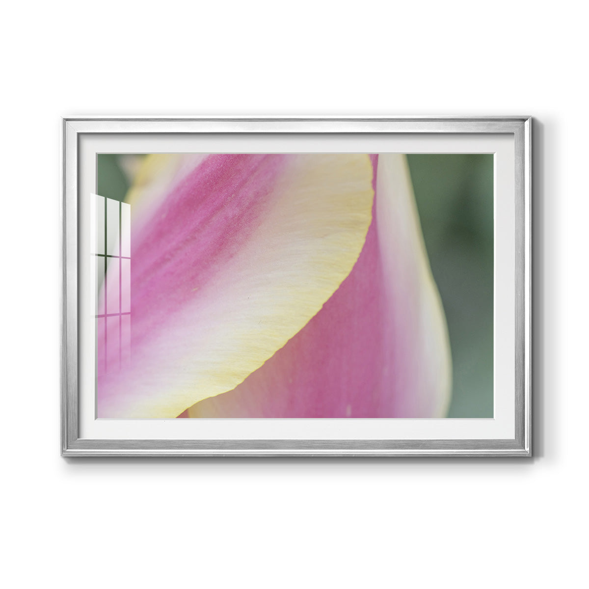 Delicate Premium Framed Print - Ready to Hang