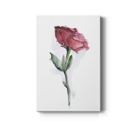 Watercolor Floral Contour II Premium Gallery Wrapped Canvas - Ready to Hang