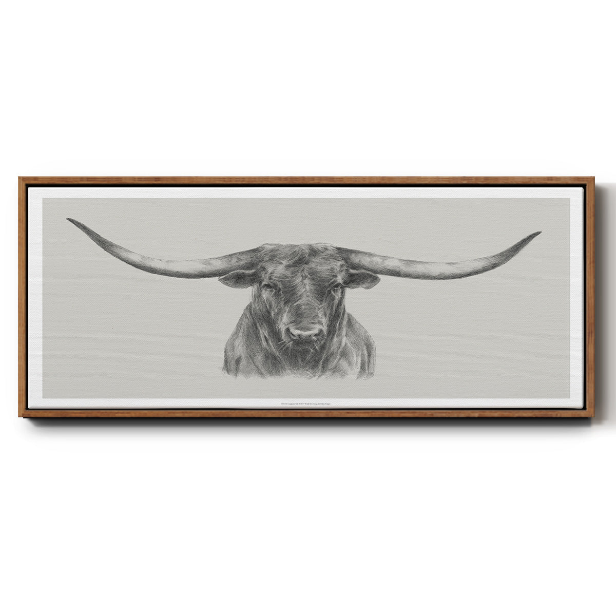 Longhorn Bull - Floater Framed Canvas Print