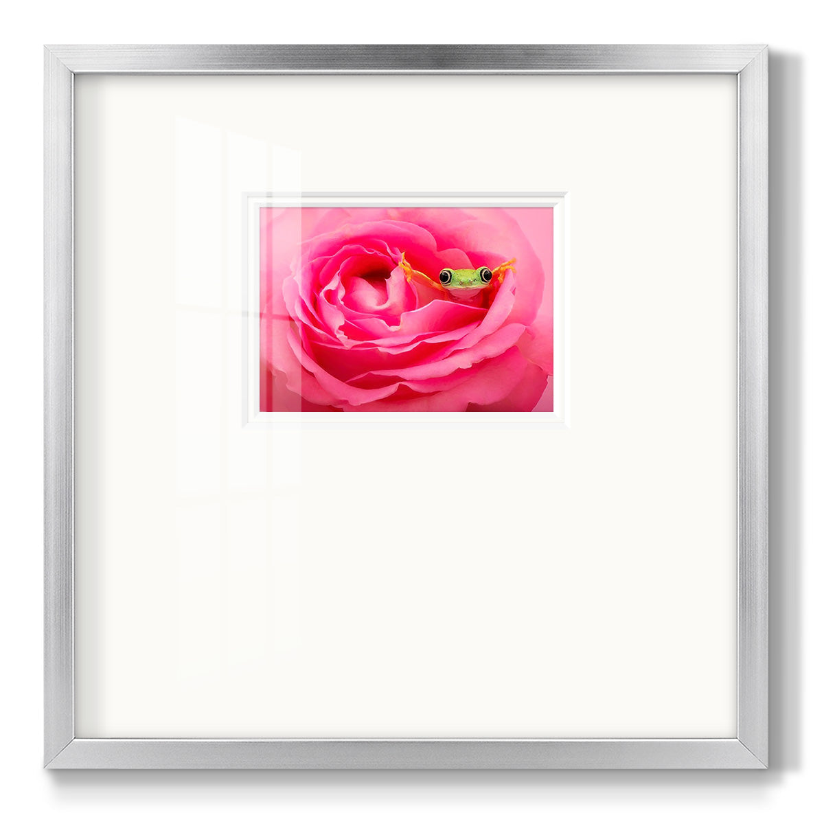 Hanging On VIII - Double Matboard Framed Print