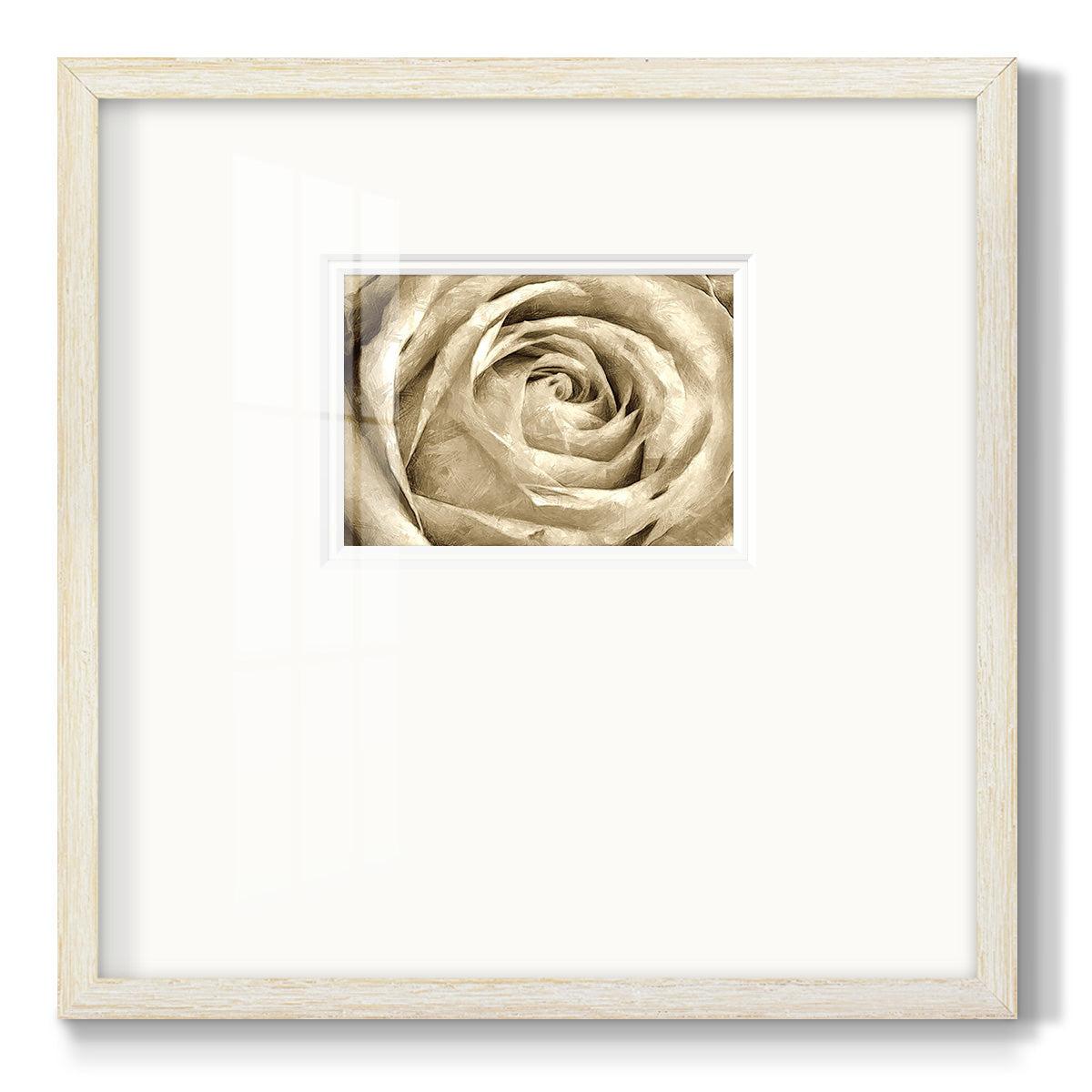 Neutral Wall Flower IV Premium Framed Print Double Matboard