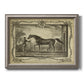 Distinguished Horses IV Premium Framed Canvas- Ready to Hang