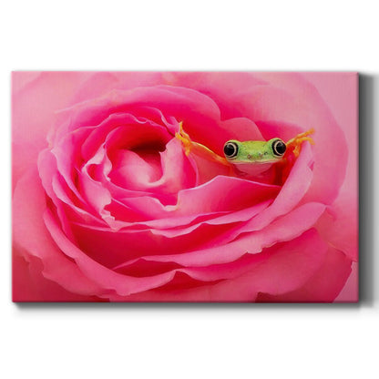 Hanging On VIII - Canvas Art Print