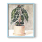 Potted Houseplant I - Restickable Framed Art Print