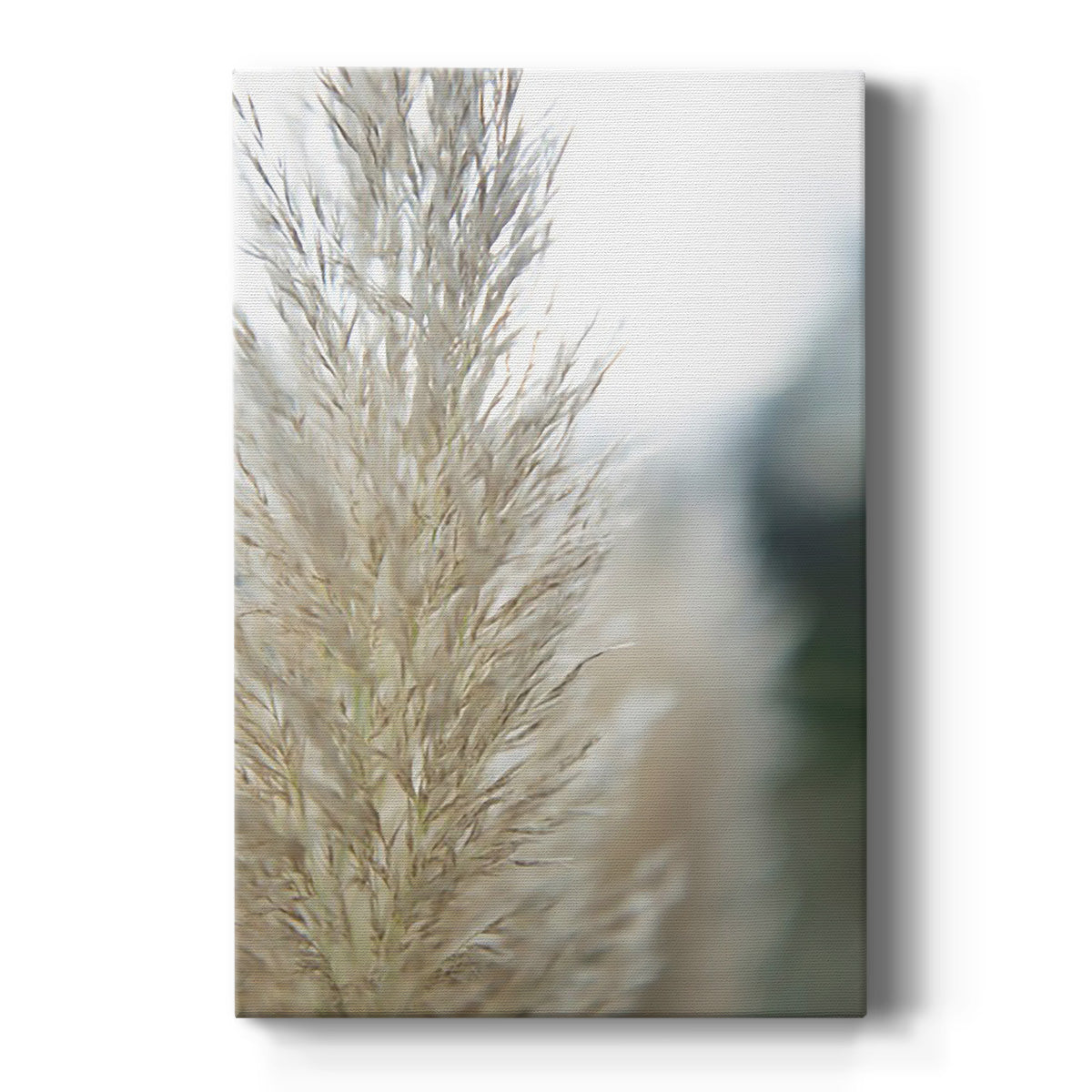 Subtle Grasses IV - Canvas Art Print