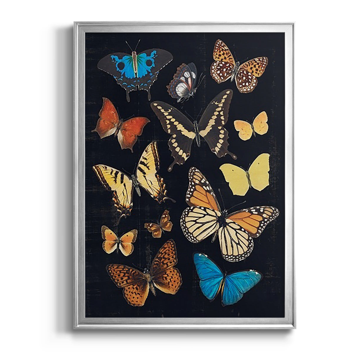 Collected Flutter IV - Modern Framed Canvas Print