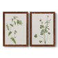 Wispy Botanical I - Premium Framed Canvas 2 Piece Set - Ready to Hang