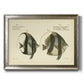 Bloch Antique Fish I Premium Framed Canvas- Ready to Hang