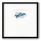 Blue Turtle II - Double Matboard Framed Print