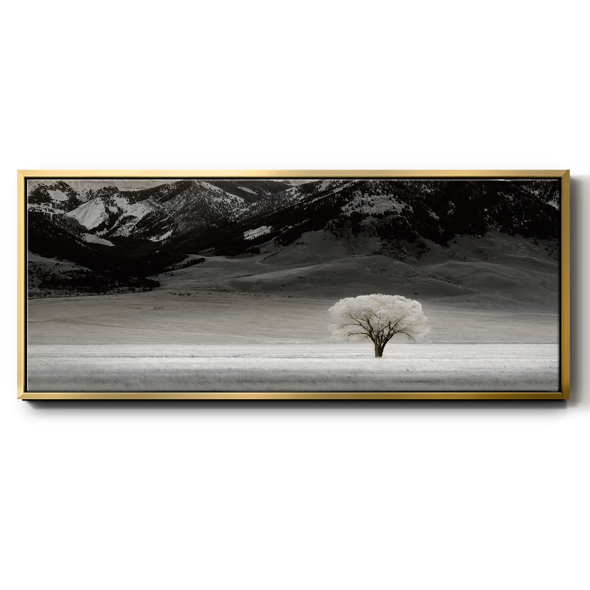 Solitary Tree - Floater Framed Canvas Print