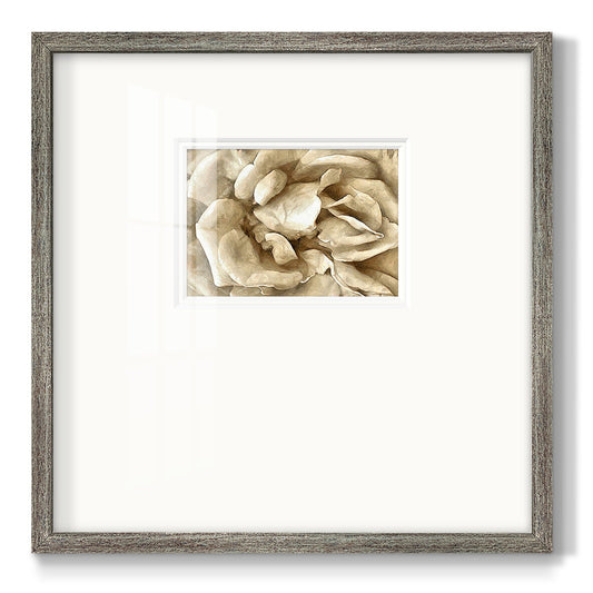 Neutral Wall Flower II Premium Framed Print Double Matboard