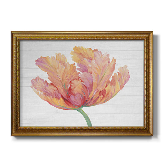 Single Pink Bloom II - Ornate Framed Canvas Print