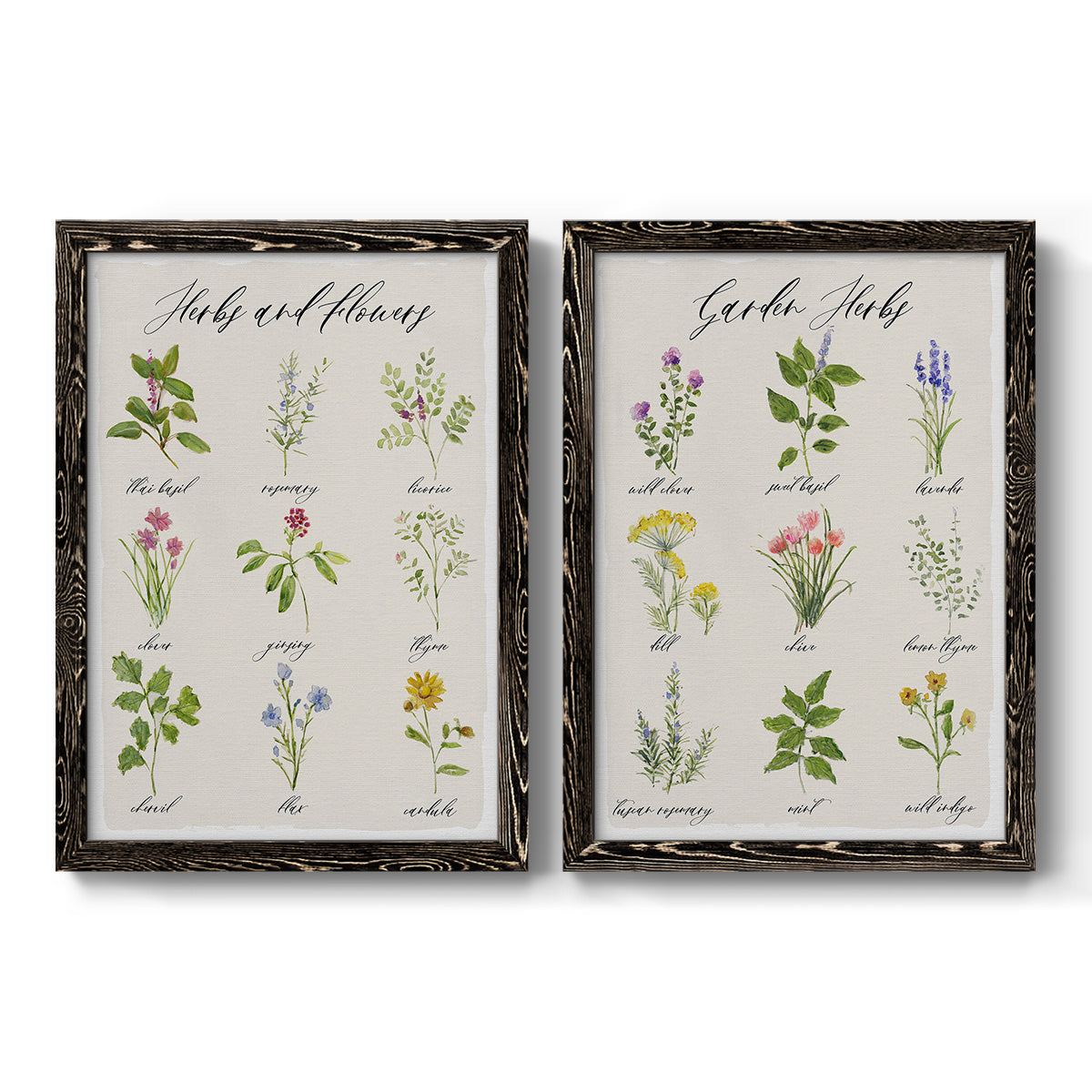 Herbs and Flowers - Premium Framed Canvas 2 Piece Set - Ready to Hang