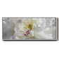 Breathless V - Floater Framed Canvas Print