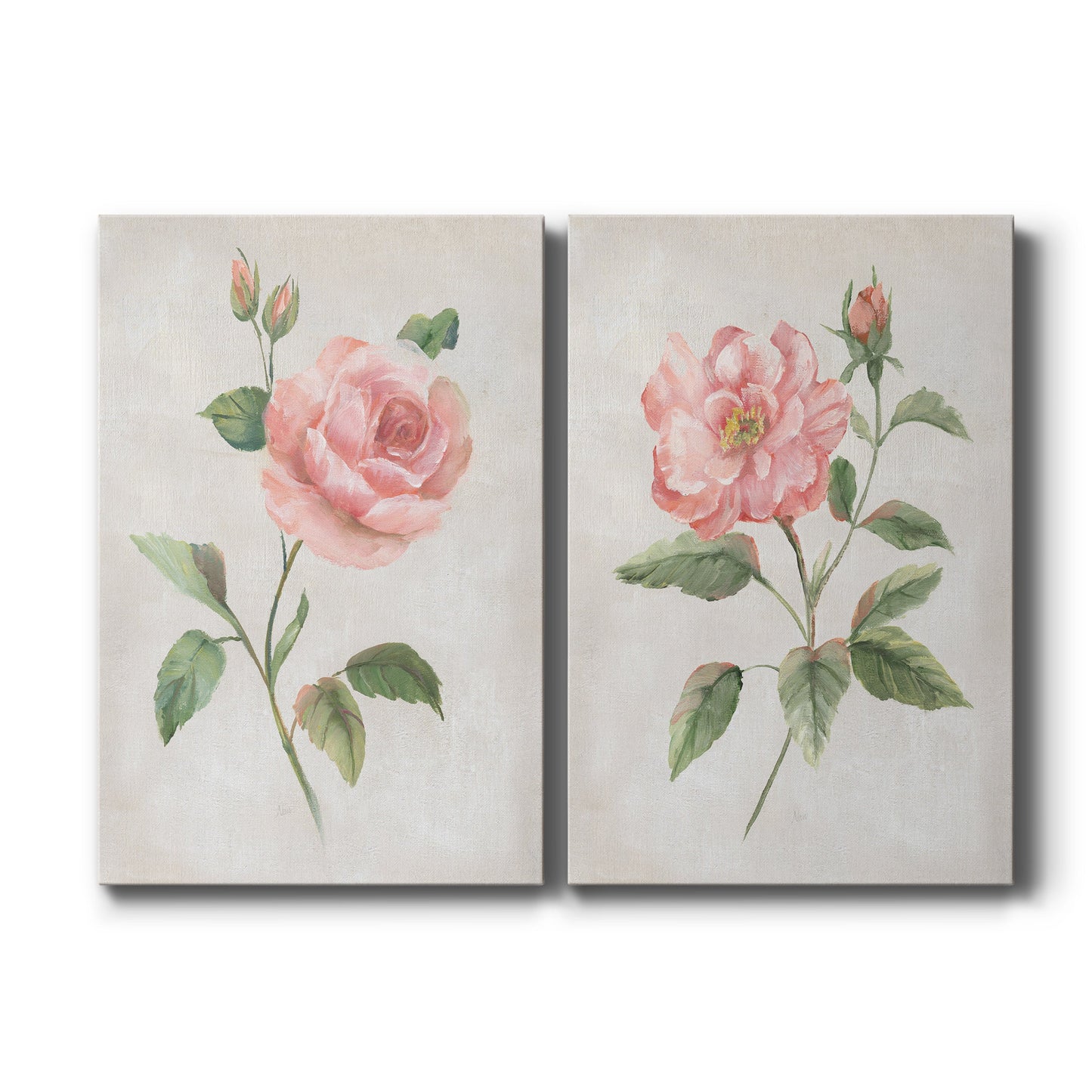 Grandiflora I - Canvas Art Set