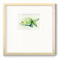 Speckled Freshwater Fish I - Double Matboard Framed Print