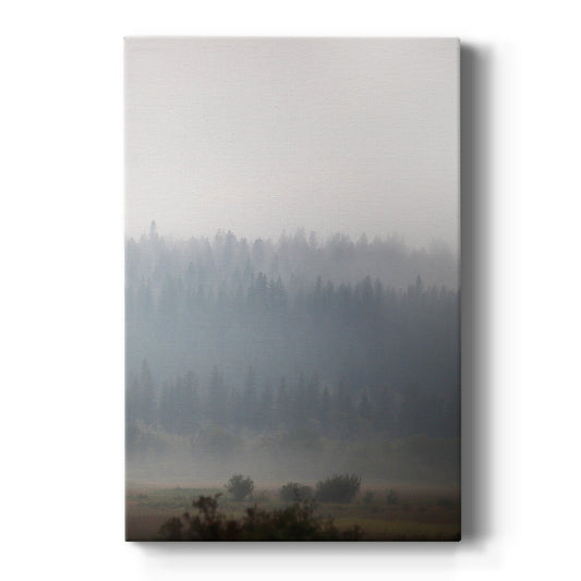 Morning Glow I - Canvas Art Print