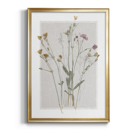 Field Study Page II - Modern Framed Canvas Print