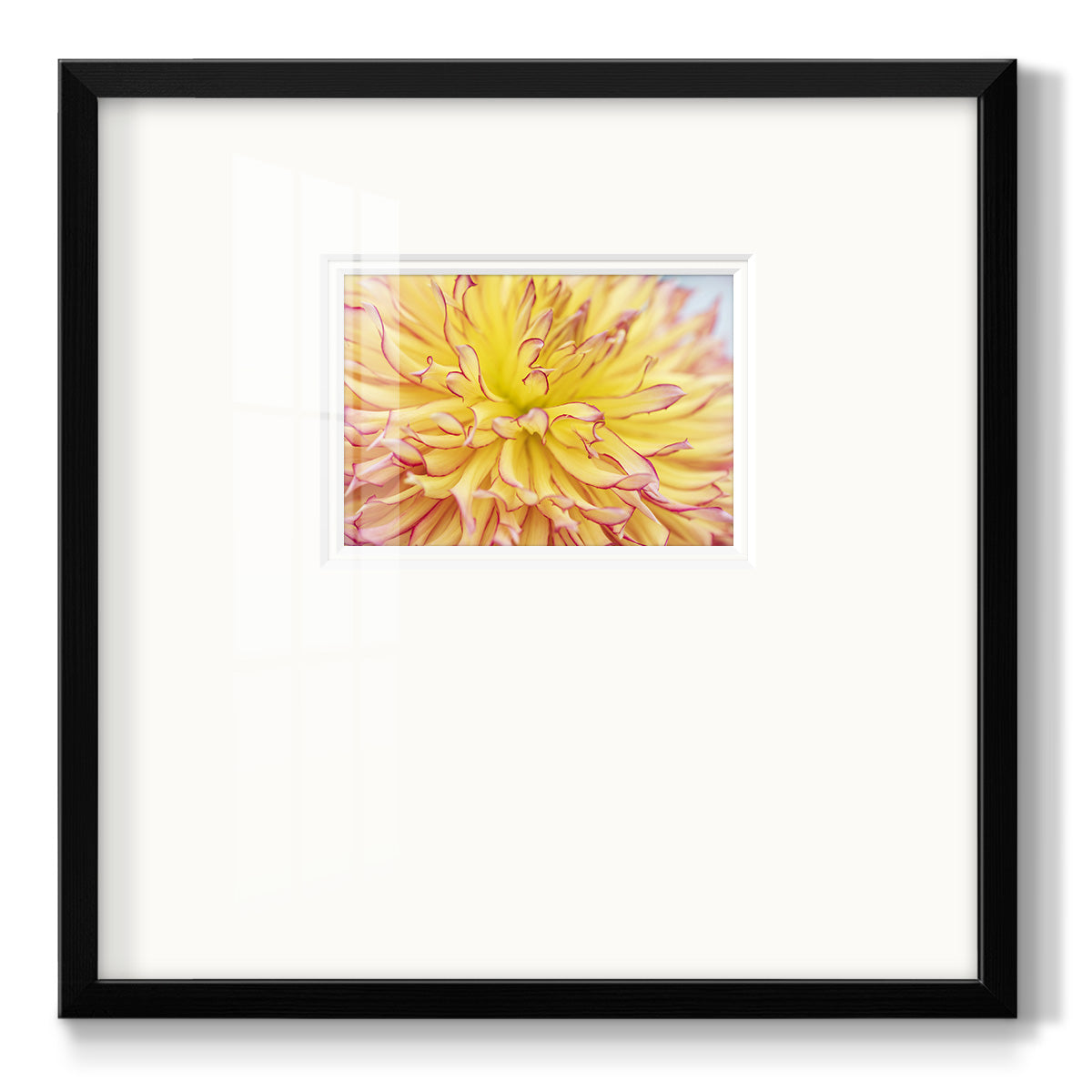 Blooms III Premium Framed Print Double Matboard