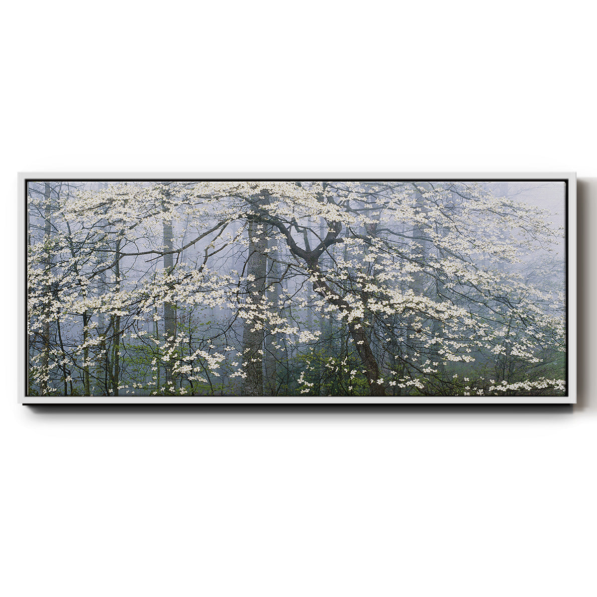 Dogwood Canopy - Floater Framed Canvas Print