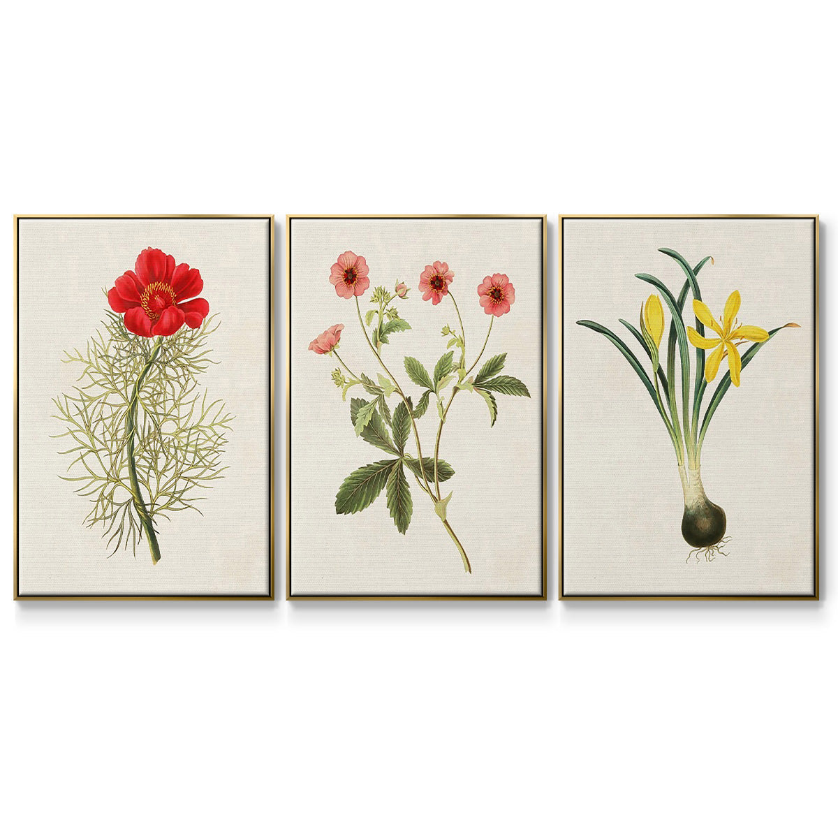 Flowers of the Seasons VI - Framed Premium Gallery Wrapped Canvas L Frame 3 Piece Set - Ready to Hang