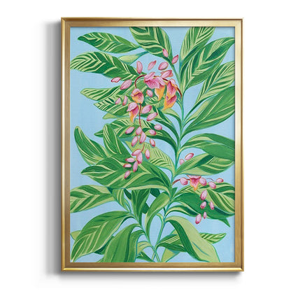 Tropical Shell Ginger II - Modern Framed Canvas Print