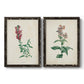 Traditional Botanical I - Barnwood Framed Canvas Set