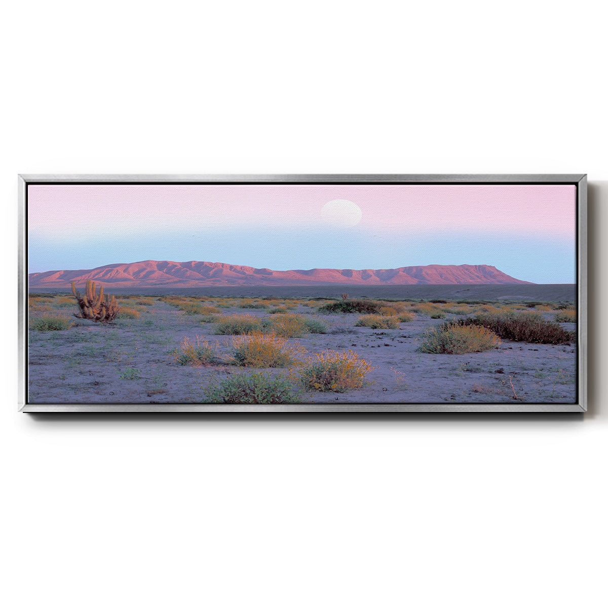 Vallenar Atacama Desert - Floater Framed Canvas Print