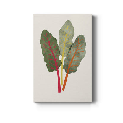 Organic Veg V - Canvas Art Print