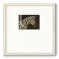 Striped Pajamas - Double Matboard Framed Print