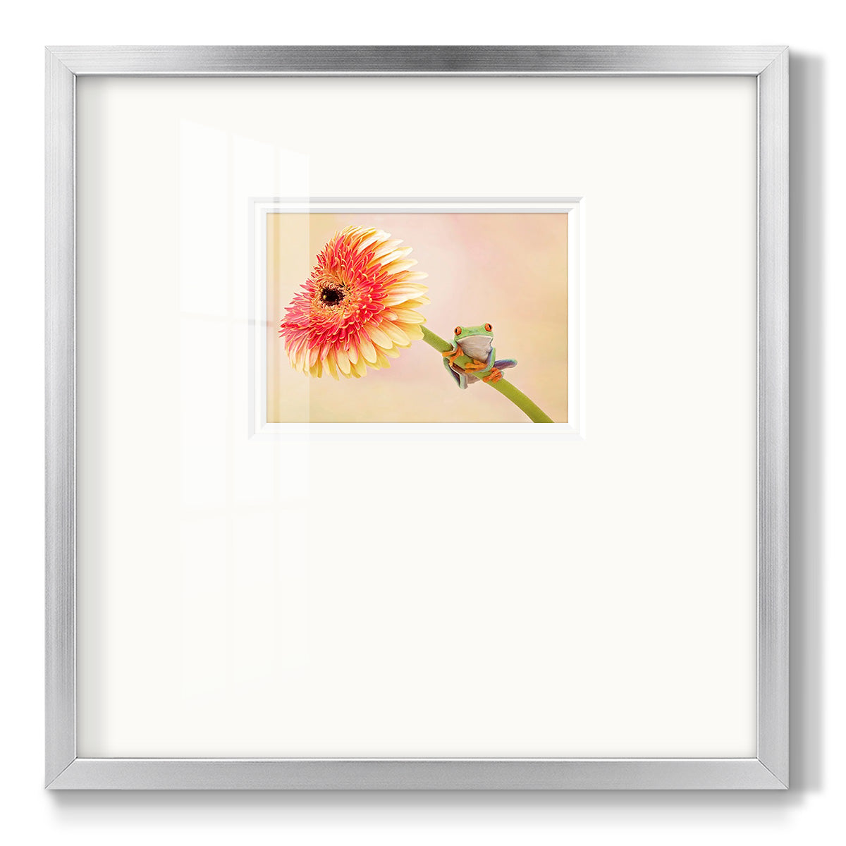 Hanging On IX - Double Matboard Framed Print