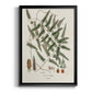 Botanical Society Ferns X - Modern Framed Canvas Print