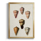 Cone Shell Collection IV - Modern Framed Canvas Print