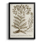 Sepia Botanical Journal I - Modern Framed Canvas Print