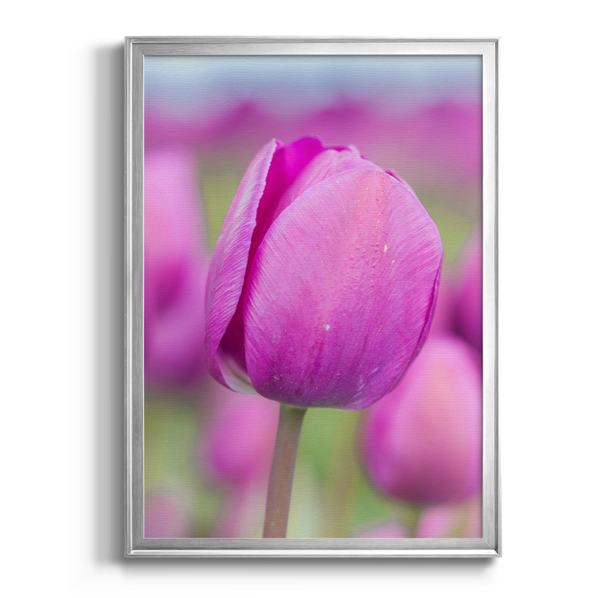 Magenta Stem - Modern Framed Canvas Print