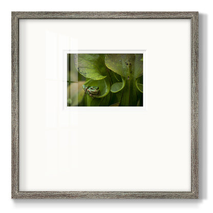 Arboreal Refuge Premium Framed Print Double Matboard