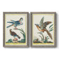 Pastel Birds III - Barnwood Framed Canvas Set