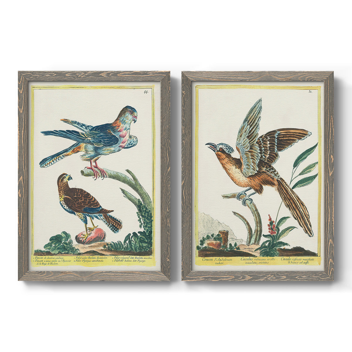 Pastel Birds III - Barnwood Framed Canvas Set