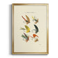 Bass Flies I - Modern Framed Canvas Print