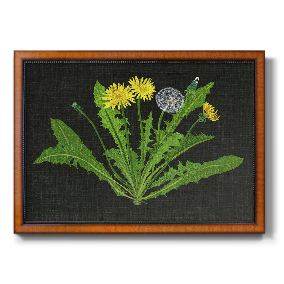 Wild Dandelion II Premium Framed Canvas- Ready to Hang