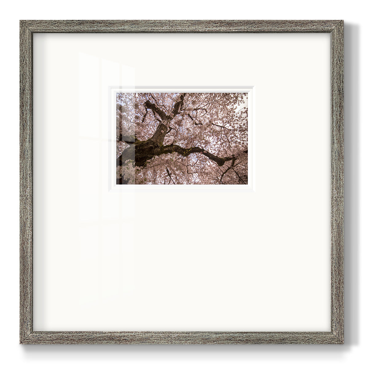 Spring's Arrival - Double Matboard Framed Print