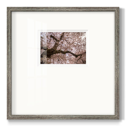 Spring's Arrival - Double Matboard Framed Print