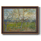 Orchard With Blossoming Apricot Trees - Ornate Framed Canvas Print