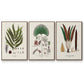 Botanical Society Ferns I - Framed Premium Gallery Wrapped Canvas L Frame 3 Piece Set - Ready to Hang