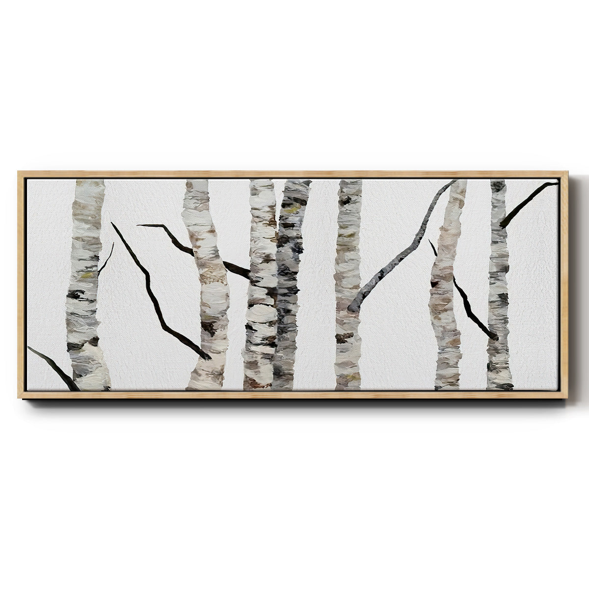 Birch Trees II - Floater Framed Canvas Print