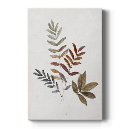 Autumn Leaves III - Canvas Art Print
