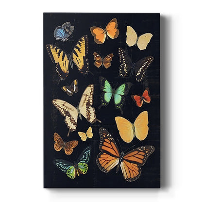 Collected Flutter III - Canvas Art Print